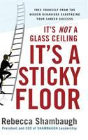 It_s_not_a_glass_ceiling__it_s_a_sticky_floor